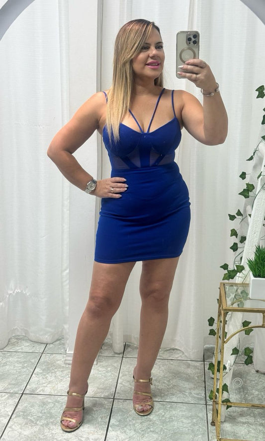 Luxe Mesh Contrast Mini Dress
