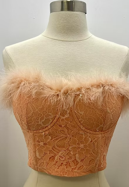 Bustier with feathers